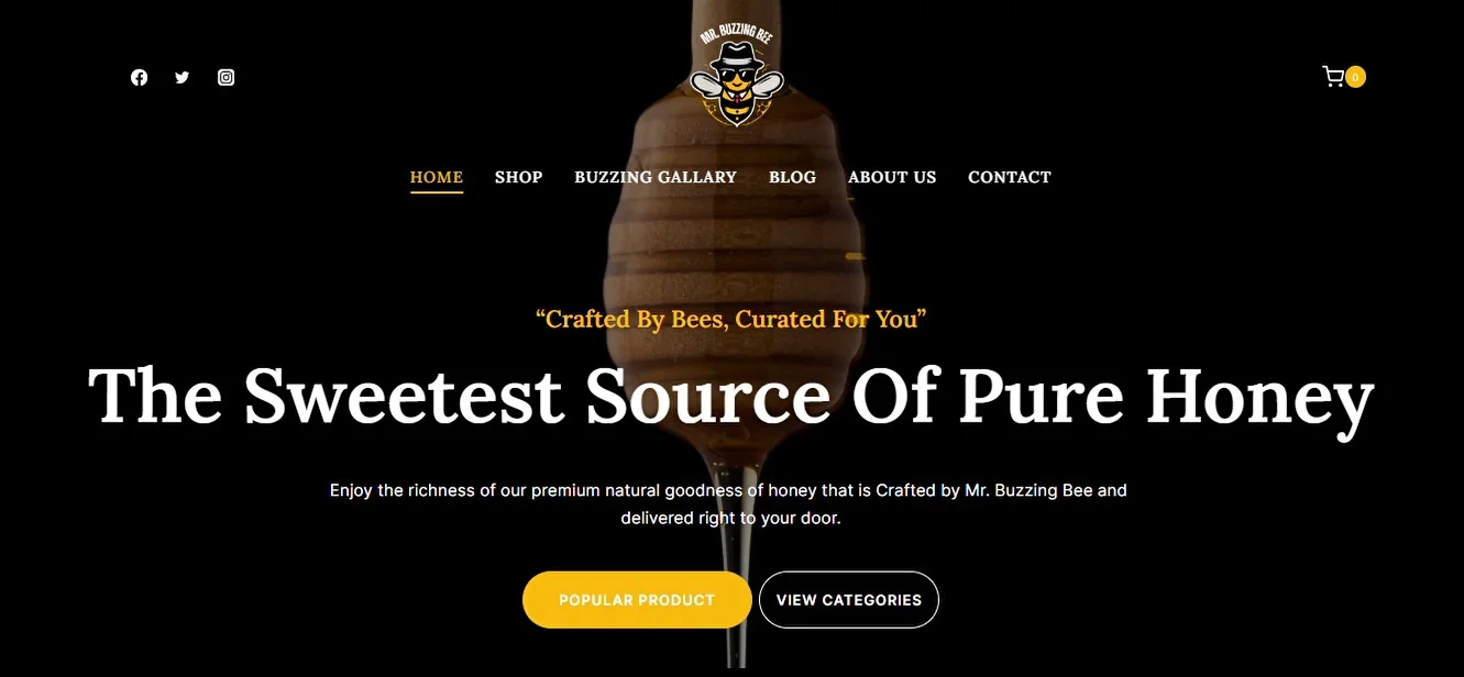 Ecom Portfolio website
wordpress developer