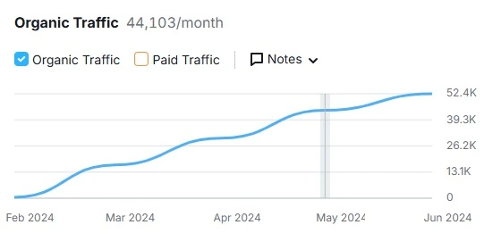 seo expert